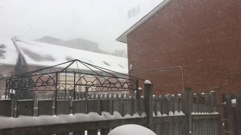 Snowstorm 28 - i Stock Footage 102080542