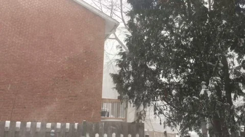 Snowstorm 29 - i Stock Footage 102080539