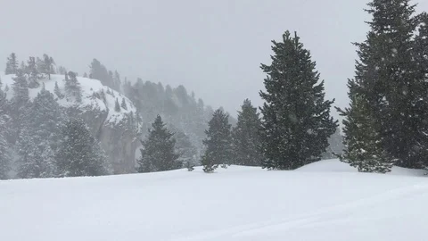 Snowstorm in the Alps Stock Footage 101307173