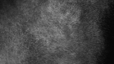 Snowstorm on Black Stock Footage 55323369