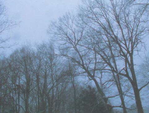 Snowstorm, blizzard over the forest, heavy snowfall, vintage film (16mm) 스톡 동영상 259108104