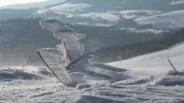 Snowstorm, blizzard, wind, snow drift, winter, frost, ice crystals, icy, Rhön Stockbeeldmateriaal 85628210