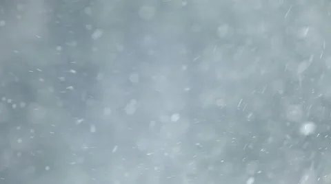 Snowstorm with Blurry Forest Background Stock Footage 59900296