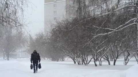 Snowstorm In The City Stock Footage 70594861