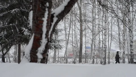Snowstorm In The City Stock Footage 70594991