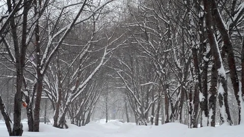 Snowstorm In The City Stock Footage 70595235
