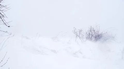 Snowstorm close up. winter wind Stock Footage 120301458