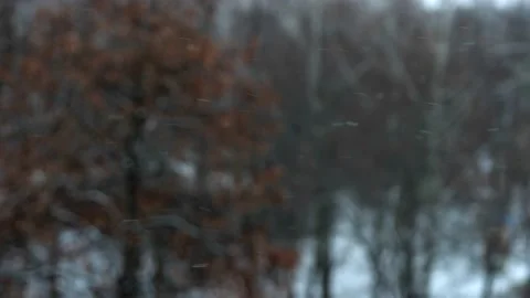 Snowstorm on a cloudy winter evening. Focus on snow. Stock Footage 225112391
