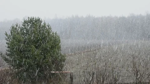 Snowstorm in the countryside 스톡 동영상 104422931