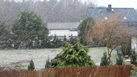 Snowstorm in the countryside Video stock 104422954