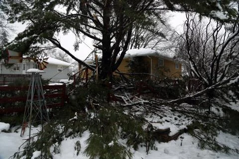 Snowstorm damage mess Stock Photos