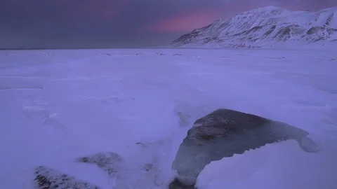 Snowstorm in deep Svalbard winter. Stock Footage 183987761