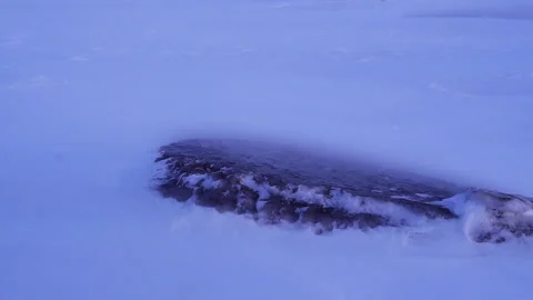 Snowstorm in deep Svalbard winter. Winter in Svalbard. Cold, icy snowstorm. Stock Footage 219428026