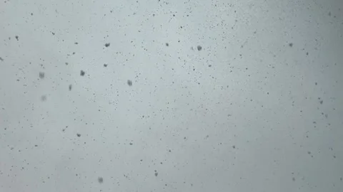 Snowstorm falling white snow from the sky Stock Footage 304609747