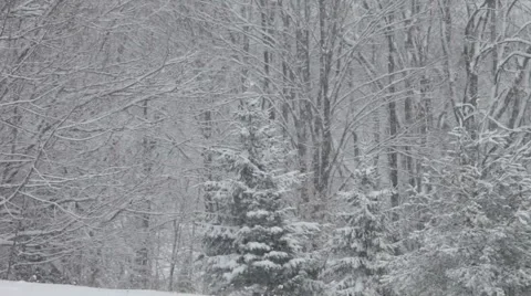 Snowstorm Stock Footage 64802938