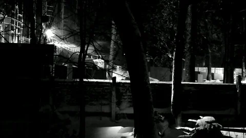 Snowstorm Stock Footage 83691105