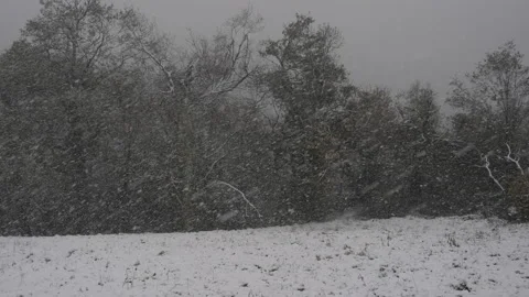 Snowstorm Vídeo Stock 165167497