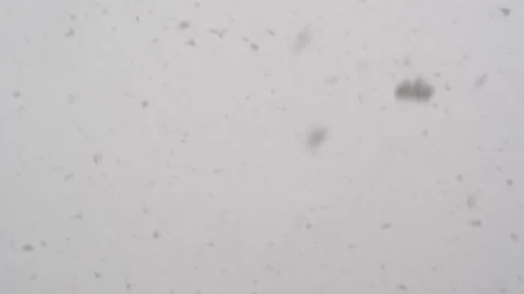 Snowstorm Video stock 168684932