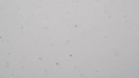 Snowstorm. Video stock 168684975