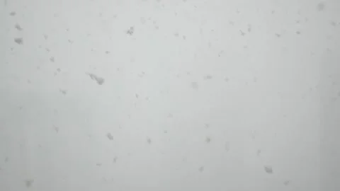 Snowstorm. Video stock 168685006