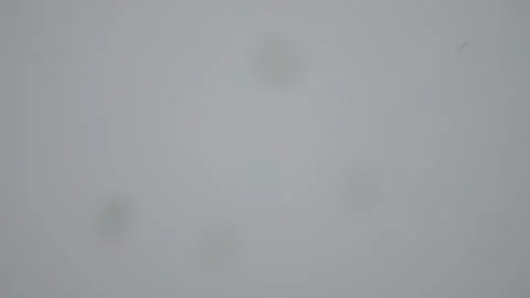 Snowstorm. Video stock 168685072