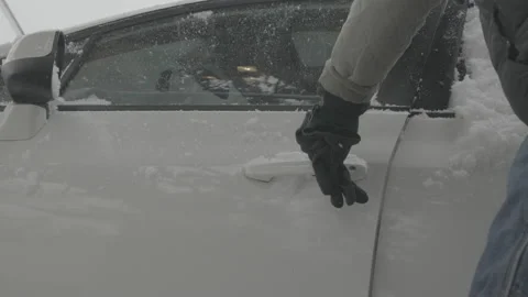 Snowstorm Stock Footage 221773339