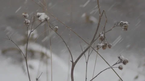 Snowstorm 스톡 동영상 308990443