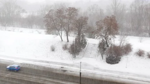 Snowstorm in the forest Stock Footage 170795181