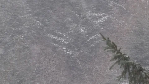 Snowstorm with forestry in background Video stock 98914154