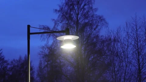 Snowstorm in the light of street lamp Stock Footage 245339485