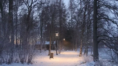 Snowstorm in the light of street lamp Stock Footage 245339491