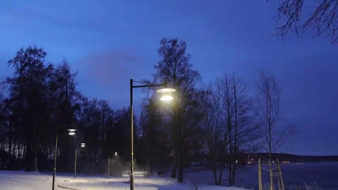 Snowstorm in the light of street lamp Stock-Footage 245339510