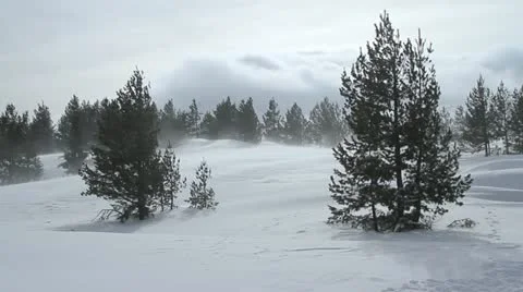 Snowstorm in mountain forrest Stock Footage 21992964