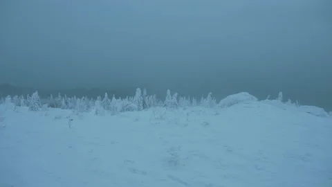 Snowstorm in the mountains Stock Footage 130744731