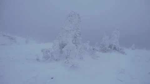 Snowstorm in the mountains Stock Footage 130744752