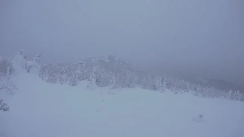 Snowstorm in the mountains Stock Footage 130744802
