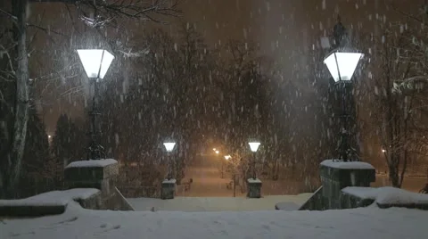 Snowstorm at night in the park Stock Footage 44514003