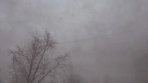 Snowstorm outside the window. Severe Snowstorm. Stock Footage 319414960