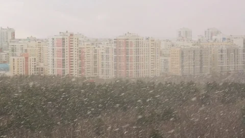 Snowstorm over the city Video stock 81809454