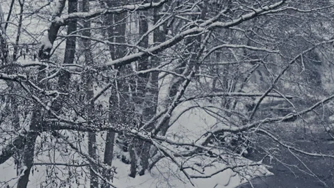 Snowstorm Over Forested River Bend Stock Footage 300154182