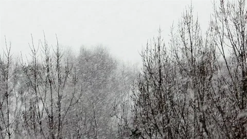 Snowstorm over the park Stock Footage 157788197