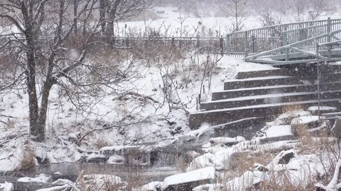 Snowstorm in a park Stock Footage 123188302