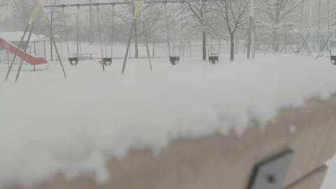 Snowstorm in the park Stock Footage 221773345