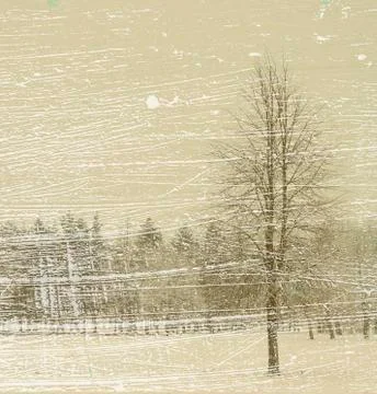 Snowstorm Stock Photos