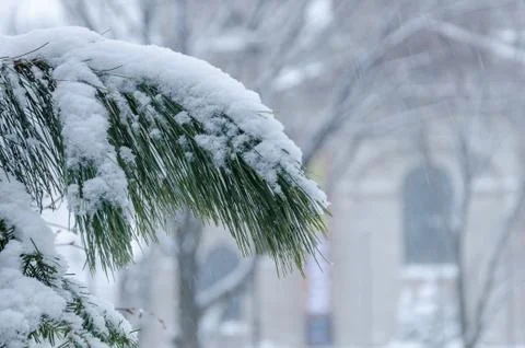 Snowstorm Stock Photos
