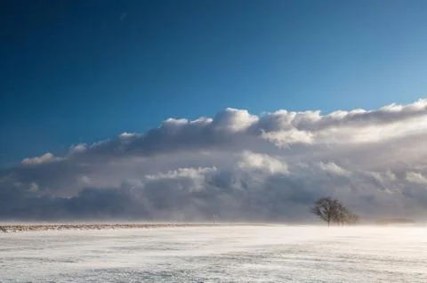 Snowstorm  库存照片