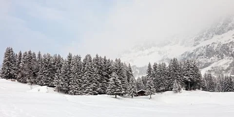 Snowstorm Stock Photos