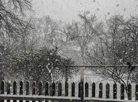 Snowstorm Stock Photos