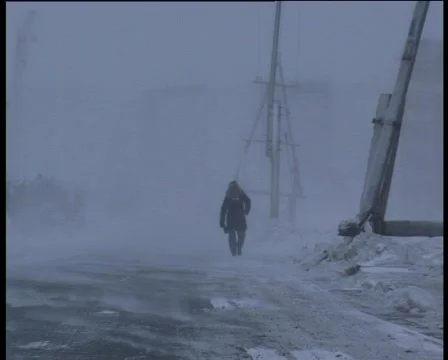 Snowstorm in the street Stock Footage 459340