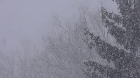 The snowstorm on the streets Stock Footage 72406292